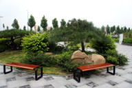 山東壽光市東環(huán)路東側(cè)綠化改造工程