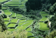 陽山廣東第一峰觀光