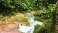 黃岡浠水三角山森林公園