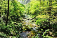 黃岡浠水三角山美景