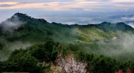 黃岡浠水三角山森林公園