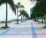 高明市中心廣場