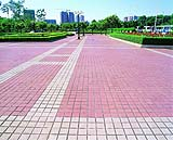 天河公園1