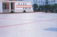南陽經濟學院