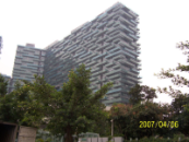 深圳紅樹西岸
