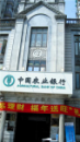 上海市中國農業銀行