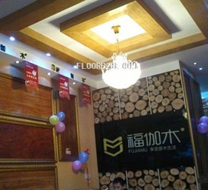 福伽木地板南部店