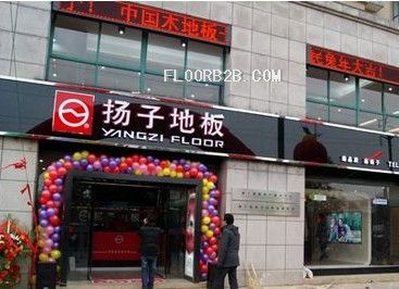 揚子地板滁州市旗艦店