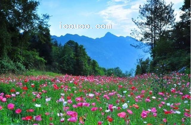 四川綿陽藥王谷景區(qū)風(fēng)土人情