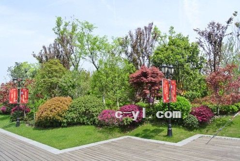中國鐵建.國際城（杭州）示范區園林綠化工程
