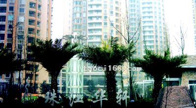 珠江華軒