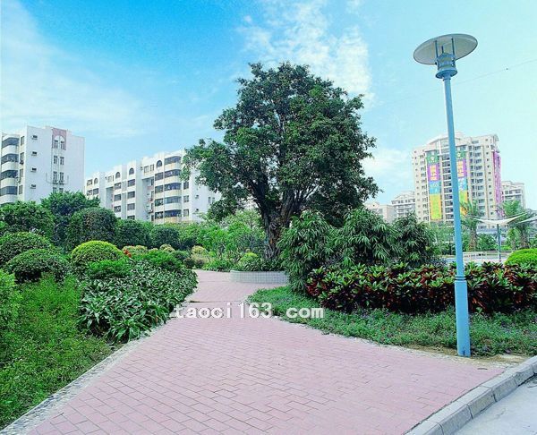 佛山玫瑰園
