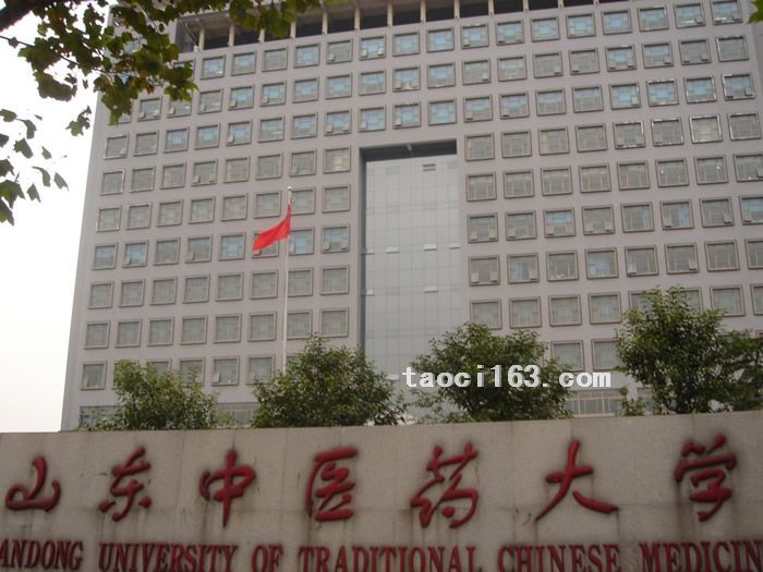 山東中醫藥大學